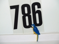 Playmobil Papagei blau gelb aus 7092, 4343, 5009