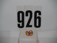 Playmobil Farbpalette aus 4324,5923