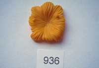 Playmobil Gras für Flaschenkorb, gelb aus 5123
