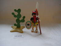 Playmobil Indianerset, Indianer mit Kaktus, Wilder Westen