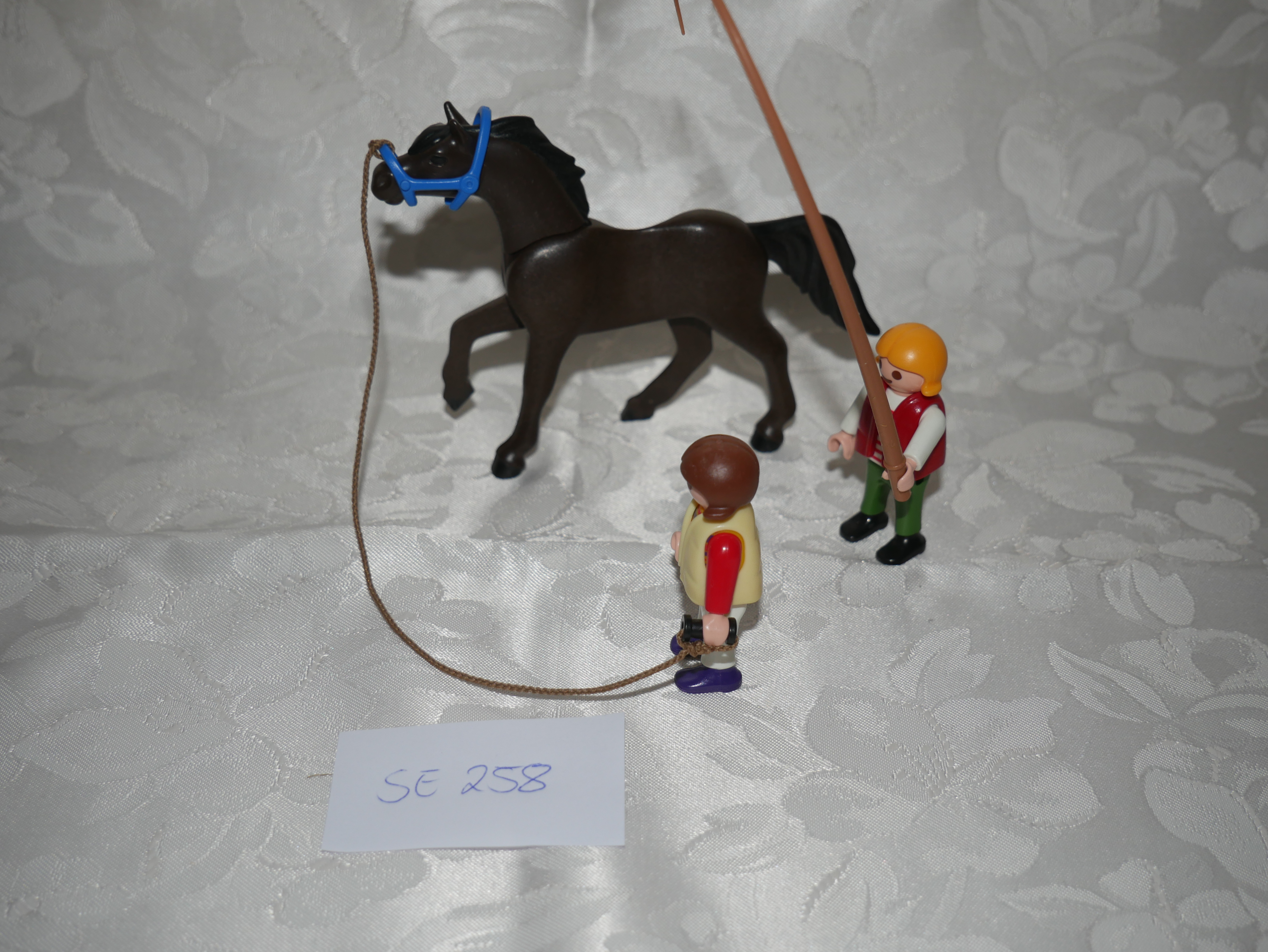 Playmobil Ergänzungsset zu Reiterhof, Pferd und Longe
