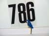 Playmobil Papagei blau gelb aus 7092, 4343, 5009